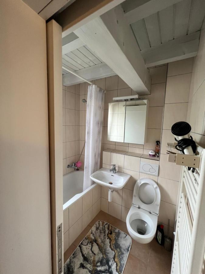 Get Cozy Flat Zuerich Apartment Екстериор снимка