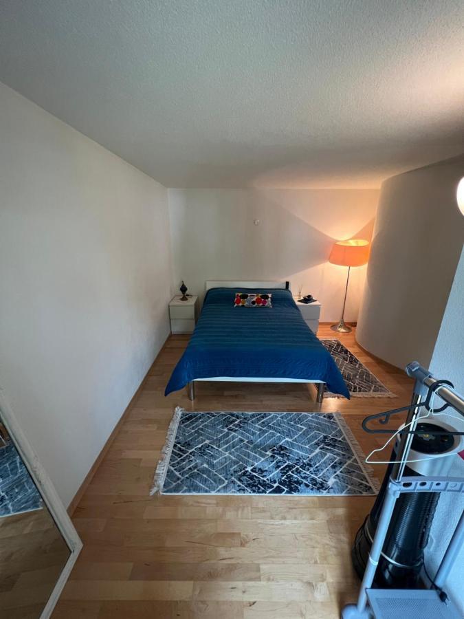 Get Cozy Flat Zuerich Apartment Екстериор снимка